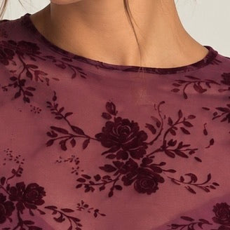 CAMISOLA TRANSPARENTE COM VELUDO